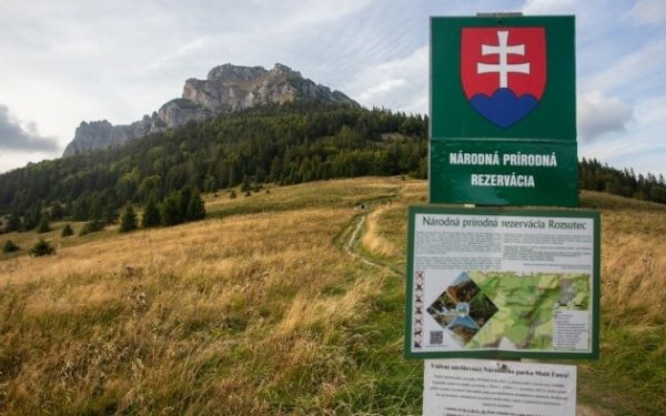 Ziua Pământului: Autoritățile GERMANE reamintesc importanța protecției naturii