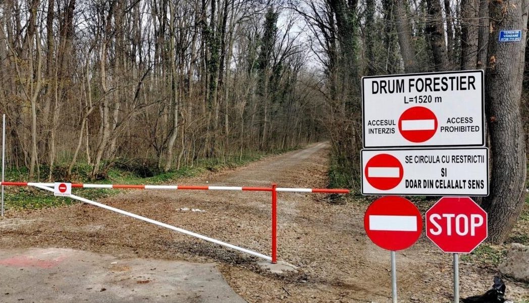 Mașinile, INTERZISE în pădurea Băneasa: Romsilva închide drumul forestier