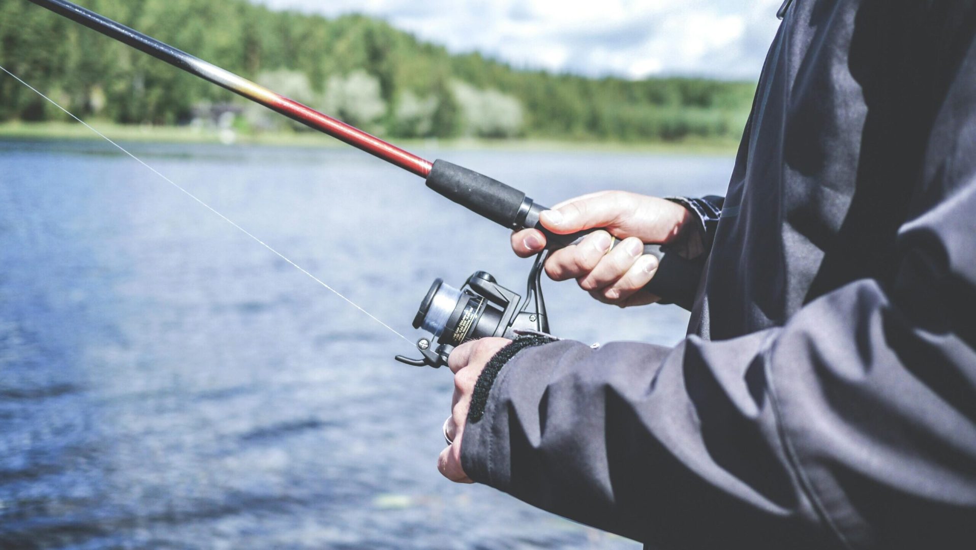 Prohibiția generală la pescuit intră în vigoare în România Ministerul Agriculturii și Ministerul Mediului au aprobat ordinul prin care se instituie prohibiția generală la pescuit în toate habitatele naturale acvatice din România