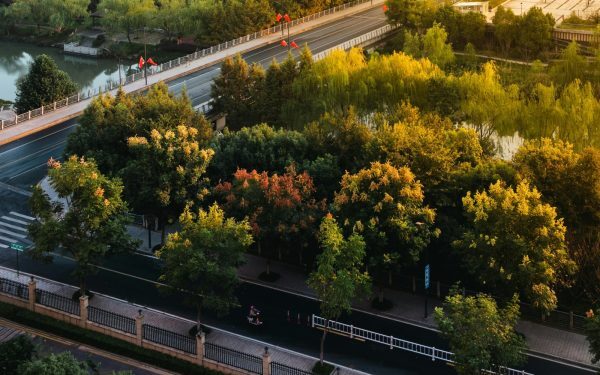 Spania, ALERTĂ incendii: românii în Valencia, atenție sporită