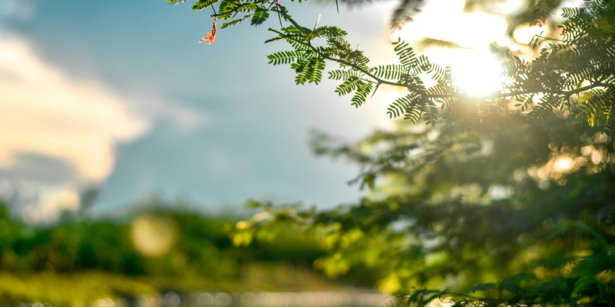 Soarele, dușmanul deghizat: Cum îți păcălește pielea „ieșită din iarnă”