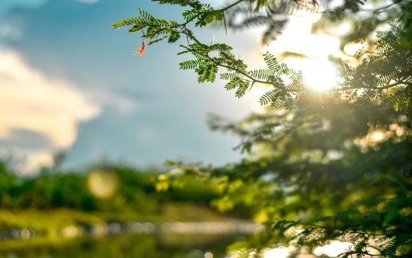 Soarele, dușmanul deghizat: Cum îți păcălește pielea „ieșită din iarnă”