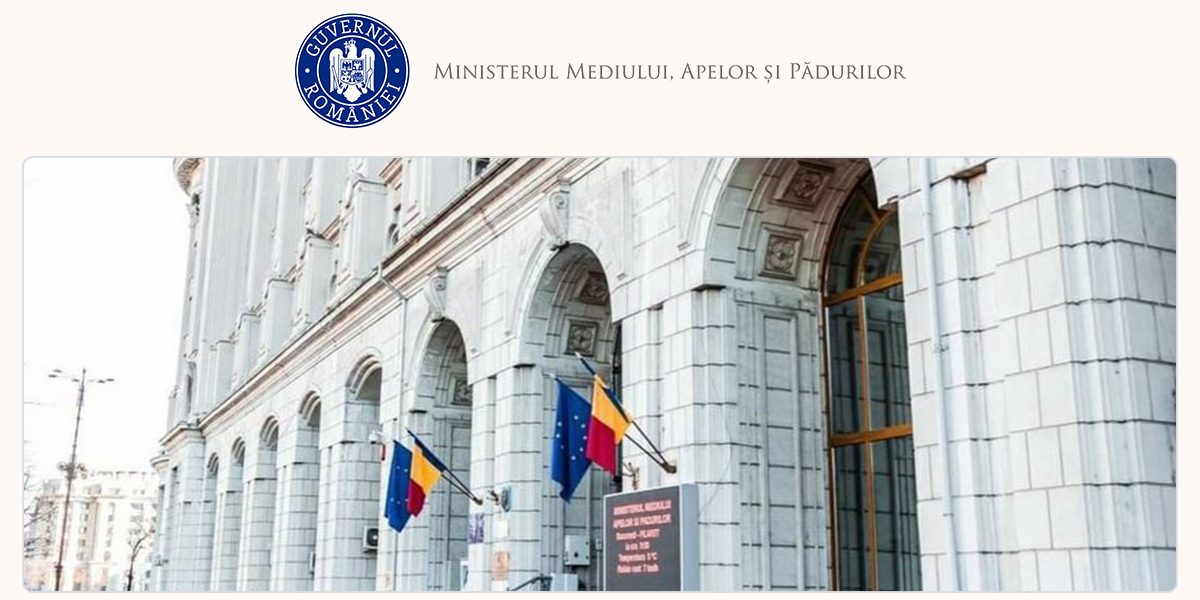 Guvernul discută compensații pentru lemnul nerecoltat. Ce prevede proiectul