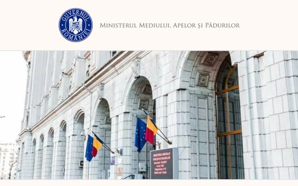 Guvernul discută compensații pentru lemnul nerecoltat. Ce prevede proiectul