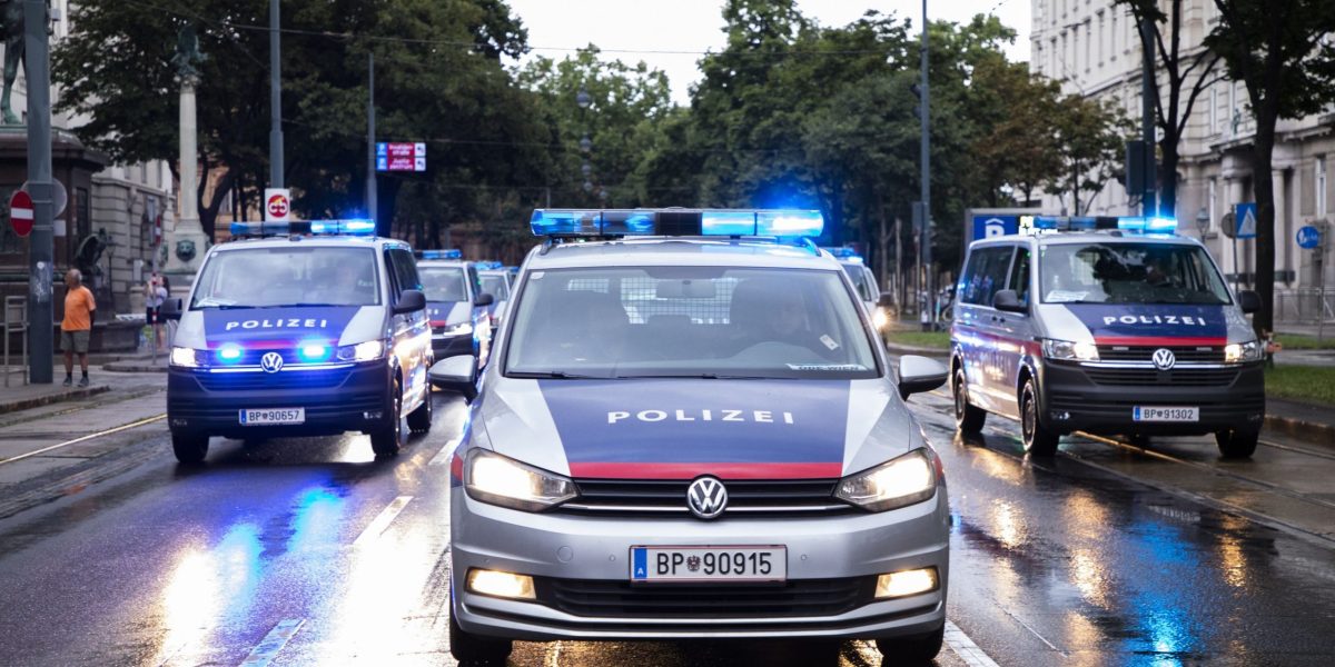Viena: O bandă de escroci, majoritatea români, prinsă de poliție