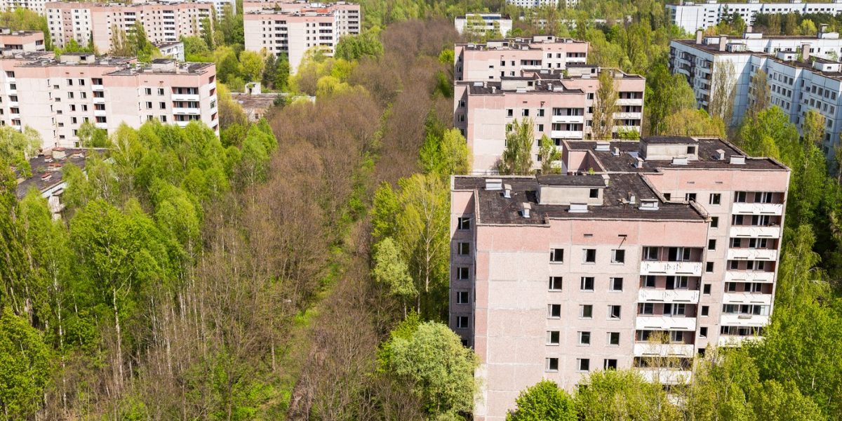 „Spiritele” prosperă la Cernobîl: Dezvăluire uluitoare la 40 de ani de la dezastru