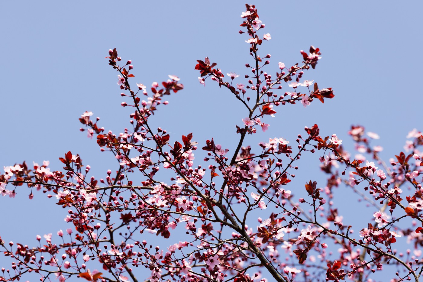 Meteo nebună până-n mai: România, pregătește-te de șocuri!