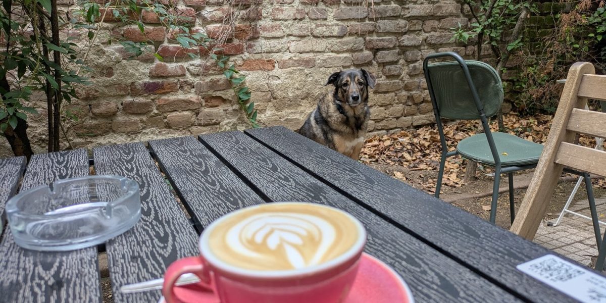 Agenda Urbană cu Cosmin: Evenimente culturale must-see în București, 24-30 aprilie