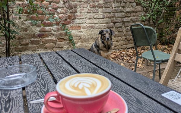 Agenda Urbană cu Cosmin: Evenimente culturale must-see în București, 24-30 aprilie