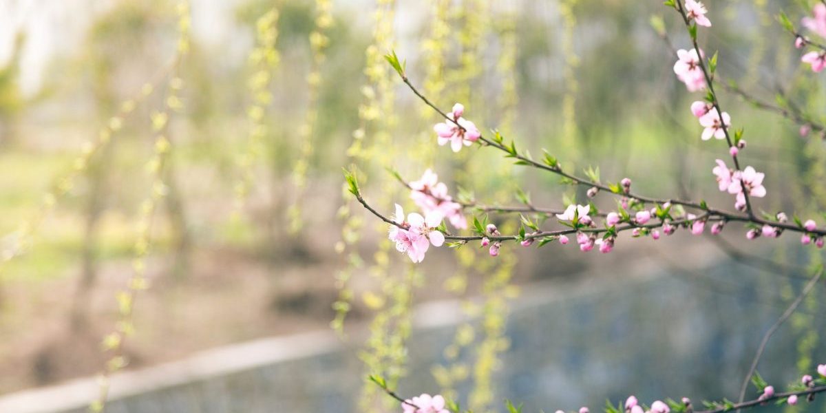 Vremea de Paște în București: Soare cu nori și 17 grade Celsius