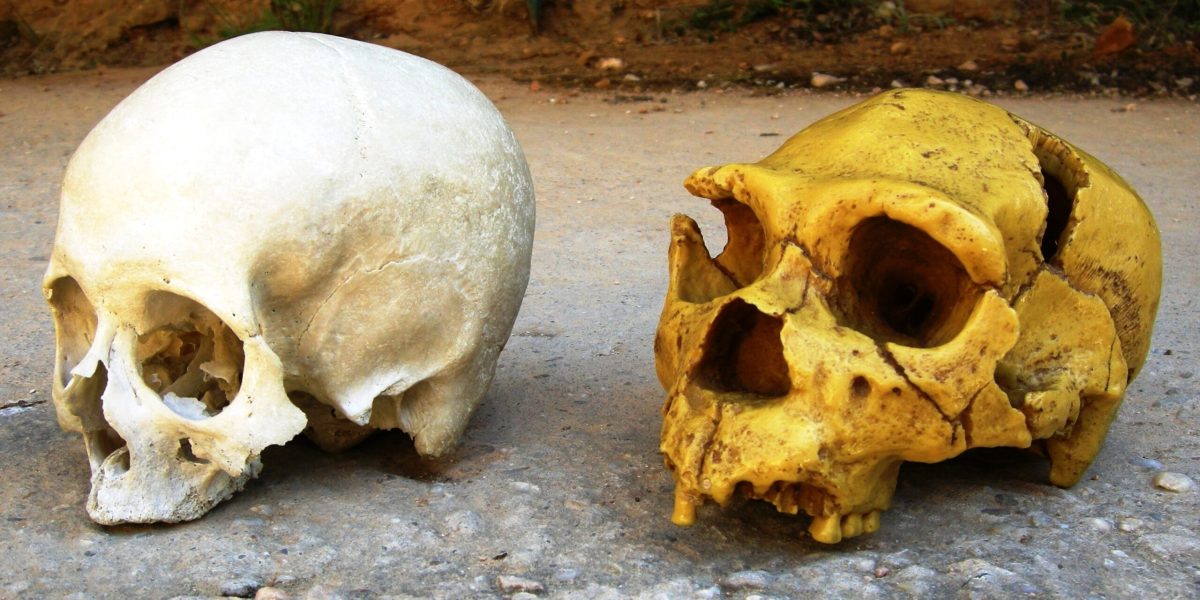 Neanderthalienii: Moștenirea lor genetică ne influențează viața și azi