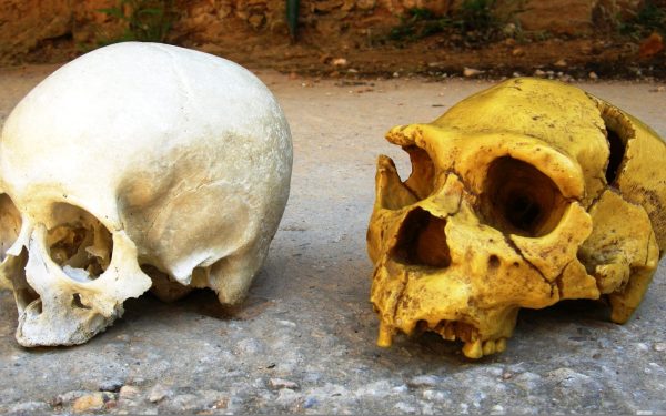 Neanderthalienii: Moștenirea lor genetică ne influențează viața și azi