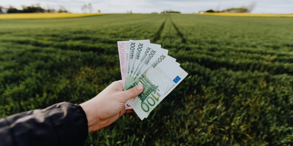 Subvenții pentru fermieri: Câți bani vor primi în 2026? Anunțul, cu o lună înainte