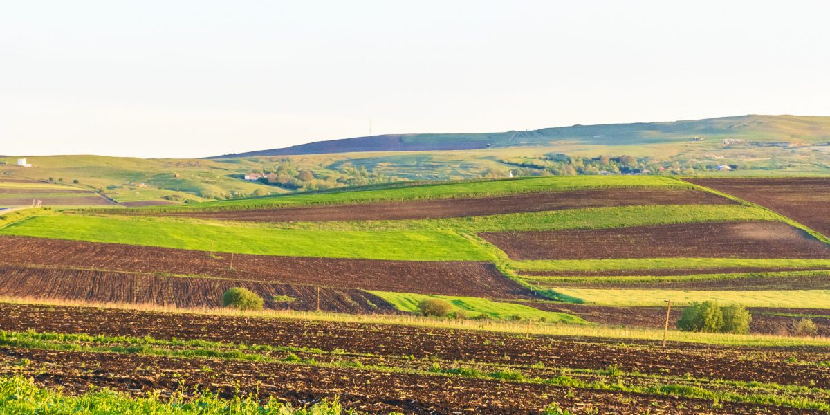 Arendă 2026: Ce drepturi și obligații au fermierii și proprietarii de terenuri