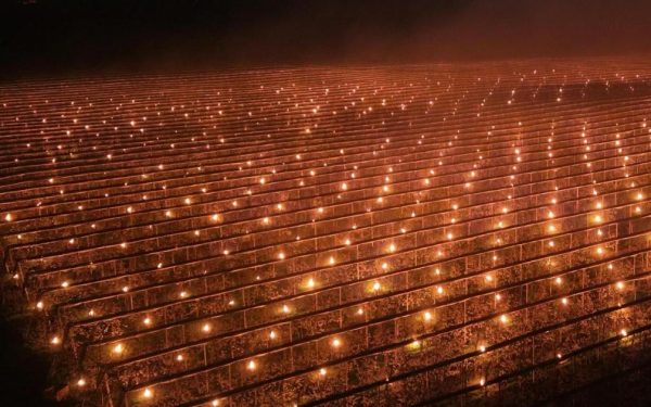 Fermieri din Cluj, gest disperat: Au ars 40.000 de euro ca să salveze cireșii