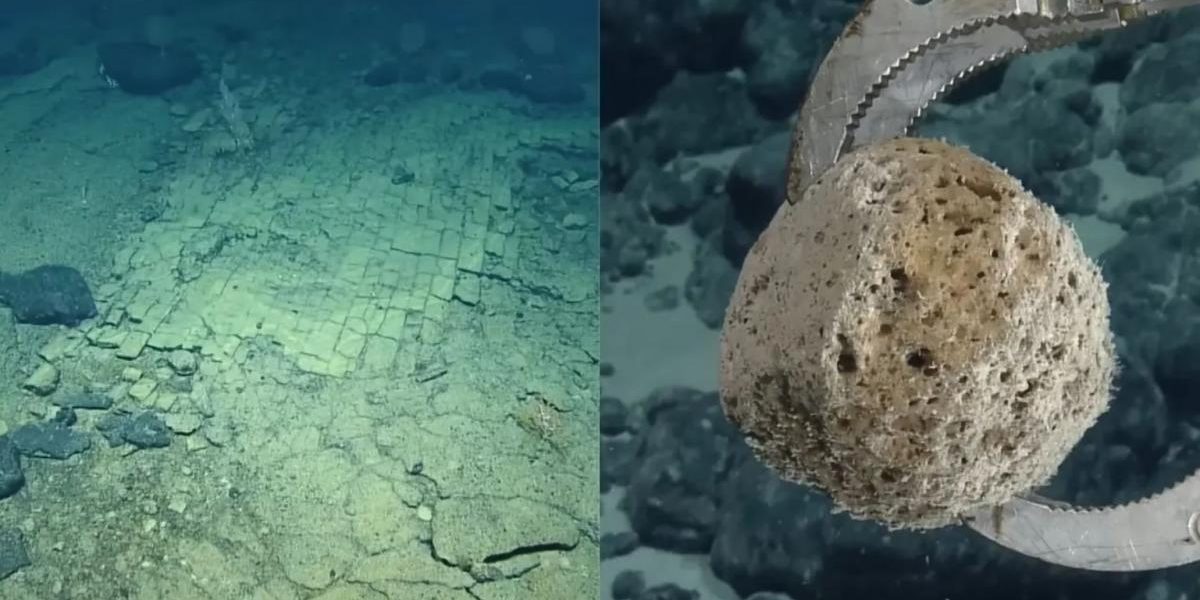 Misterul din Pacific: savanții au descoperit un „drum” pe fundul oceanului