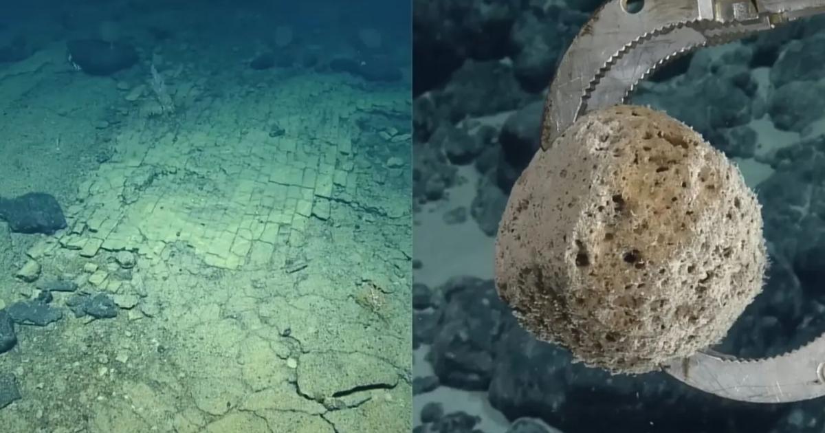 Misterul din Pacific: savanții au descoperit un „drum” pe fundul oceanului