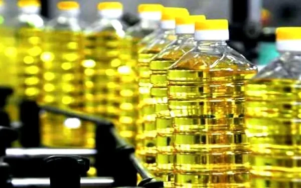 România, cel mai mare importator de ulei: semințe argentiniene, produs autohton