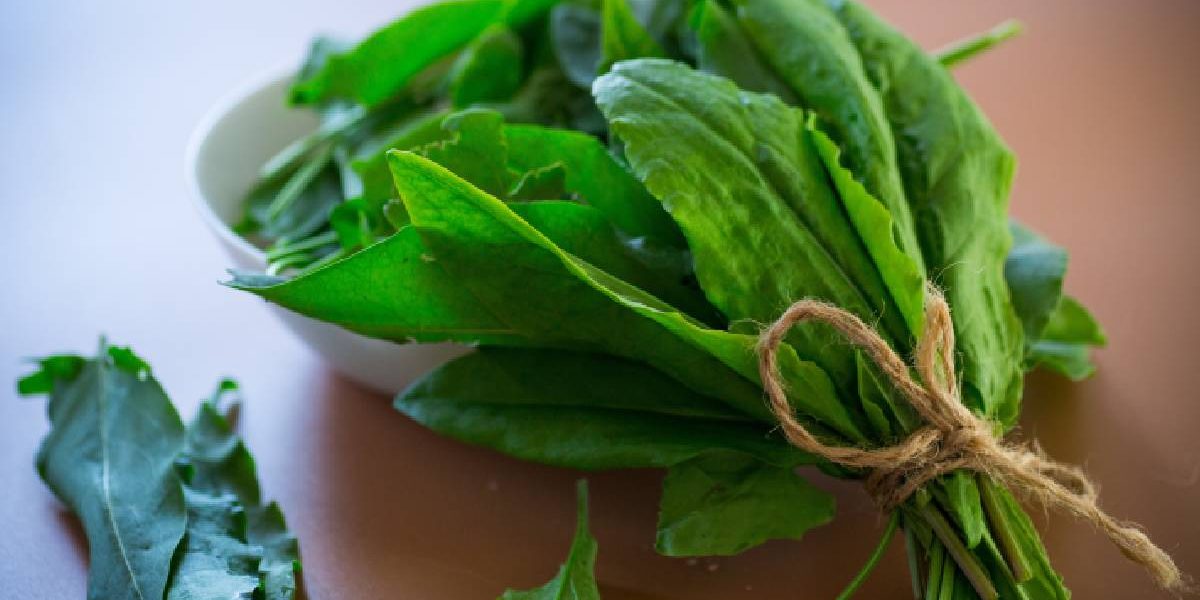 Verdețurile, secretul unei tensiuni arteriale sub control în România?