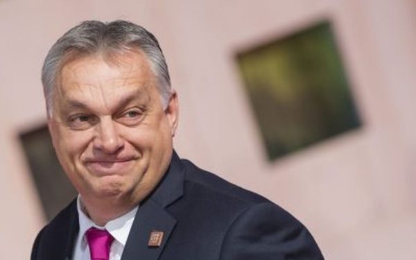 Orban, promovat cu conturi false: Algoritmii X, manipulați înainte de votul din Ungaria