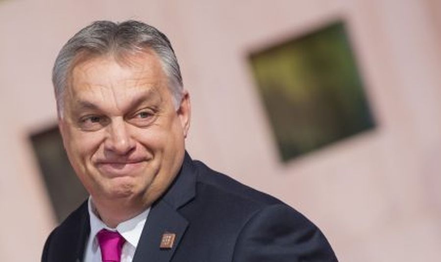 Orban, promovat cu conturi false: Algoritmii X, manipulați înainte de votul din Ungaria