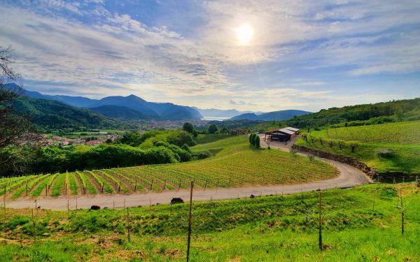 Case la un euro, subvenții și afaceri gratuite: satele din Italia renasc