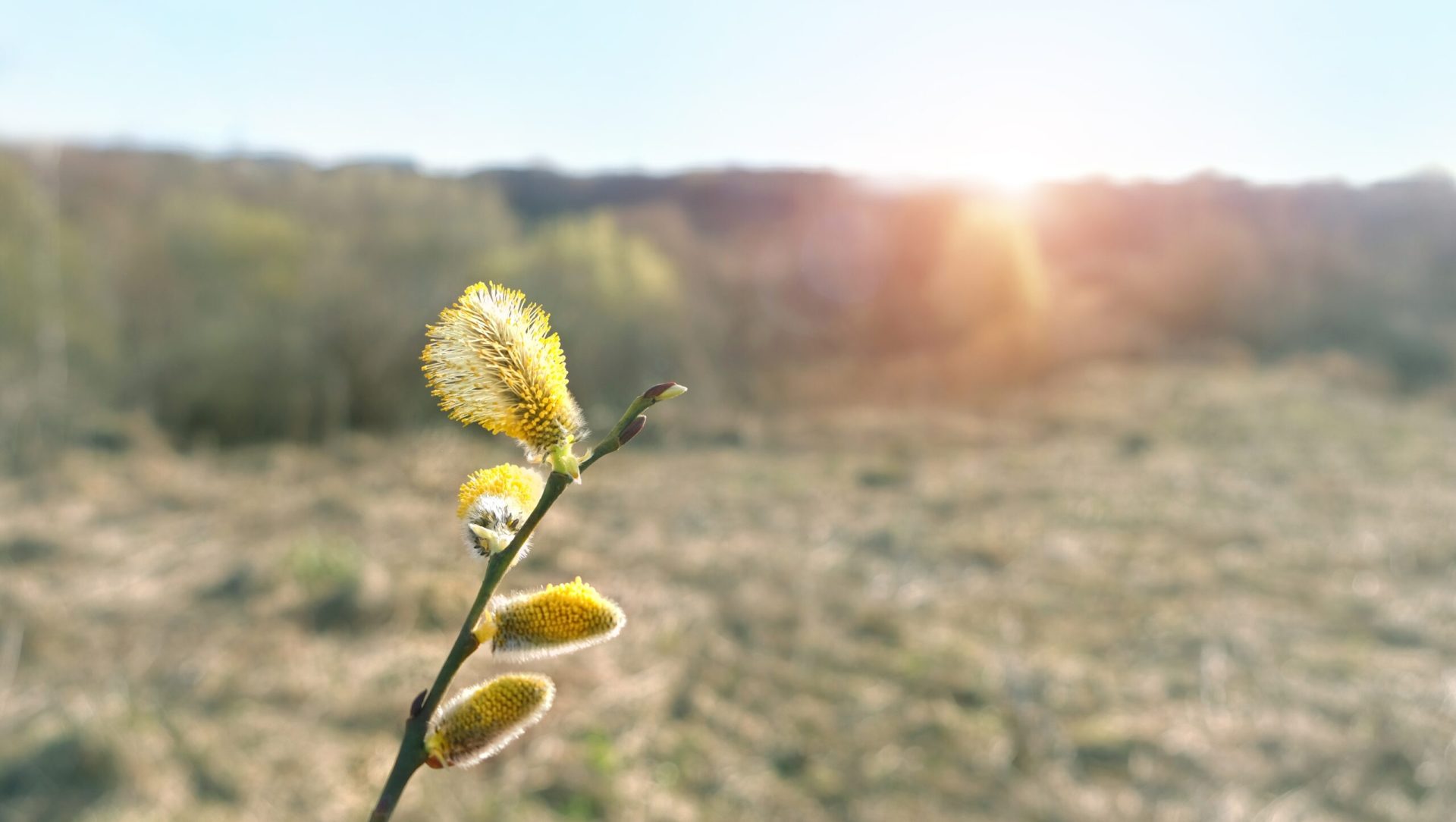 Vremea se schimbă radical de Paște, anunță meteorologii