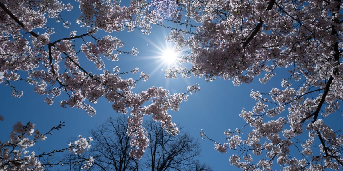 Vremea de 1 Mai: Meteorologii au anunțat ce ne așteaptă în România