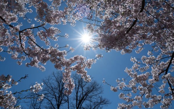 Vremea de 1 Mai: Meteorologii au anunțat ce ne așteaptă în România