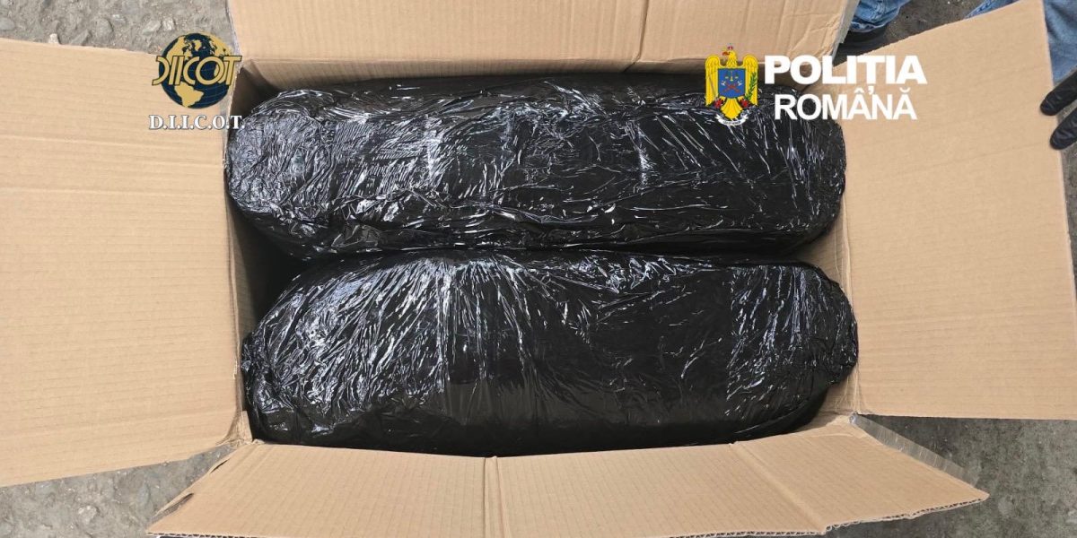Captură de droguri la Târgu Mureș: 13 kg de canabis, aduse din Spania