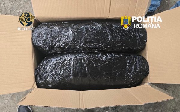 Captură de droguri la Târgu Mureș: 13 kg de canabis, aduse din Spania