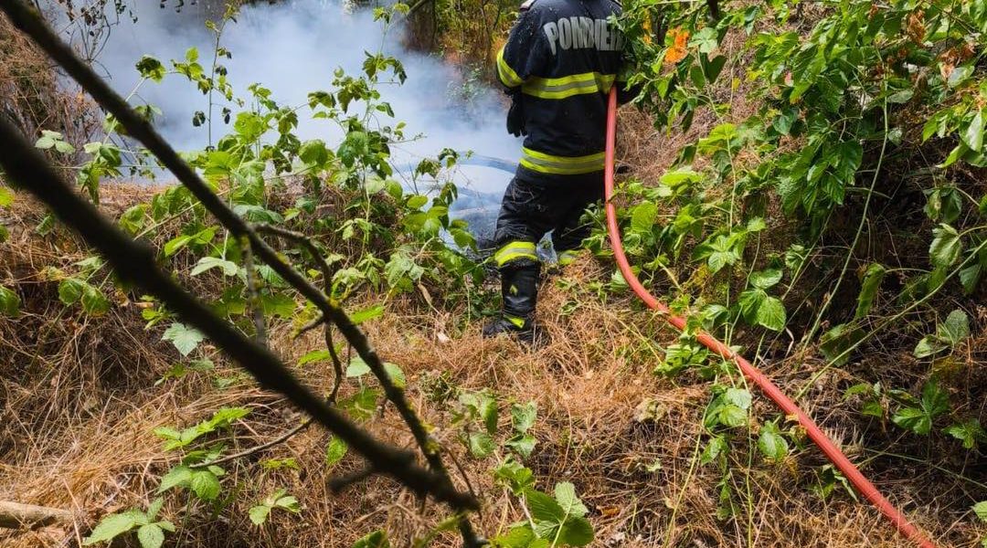 Incendiu devastator în Caraș-Severin: Un nou focar mistuie pădurile