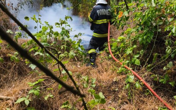 Incendiu devastator în Caraș-Severin: Un nou focar mistuie pădurile