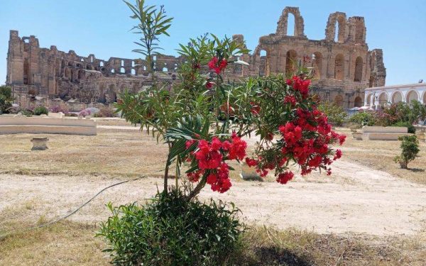 JURNAL de CĂLĂTORIE în TUNISIA: De la imperii uitate la nisipul deșertului