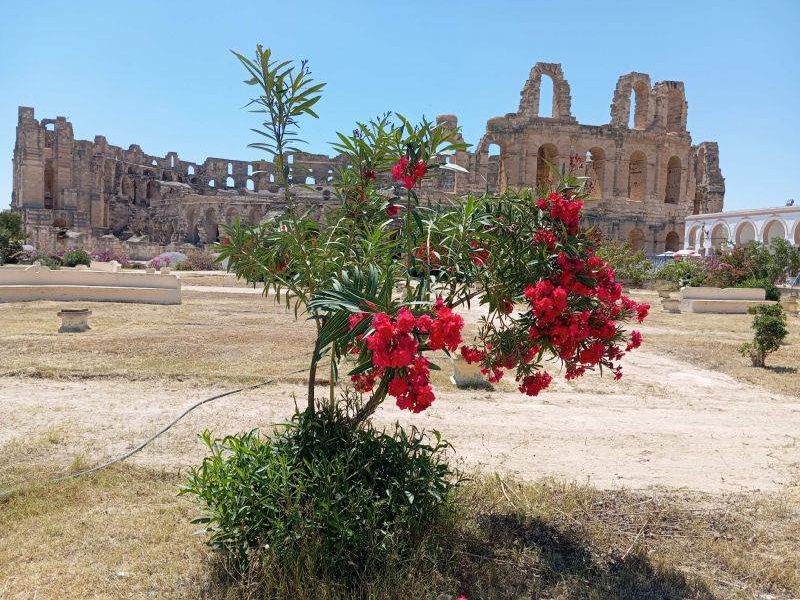 JURNAL de CĂLĂTORIE în TUNISIA: De la imperii uitate la nisipul deșertului
