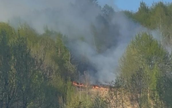 Incendiu devastator în Bistrița-Năsăud: Flăcările au mistuit Valea Anieșului