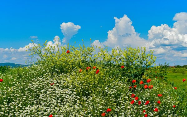 Unde te bronzezi azi în România: temperaturi de 30°C și soare din plin
