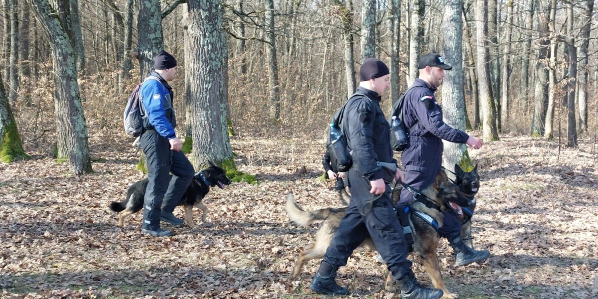Dronă suspectă, fără explozibil, descoperită în Maramureș: Zona, securizată