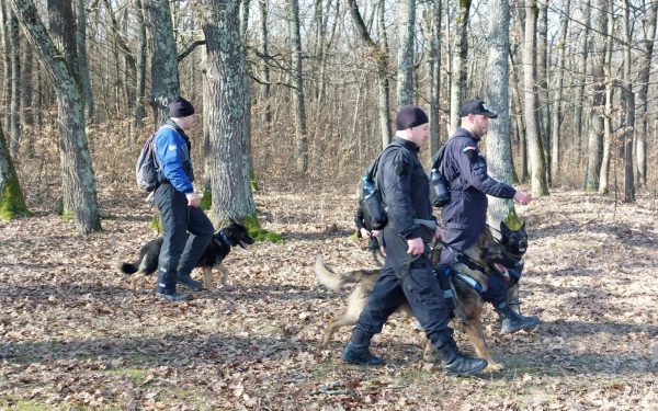 Dronă suspectă, fără explozibil, descoperită în Maramureș: Zona, securizată