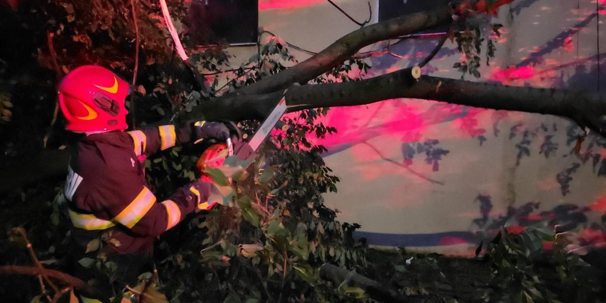 Furtuni violente: 20 de copaci, 40 de mașini distruse în 9 localități