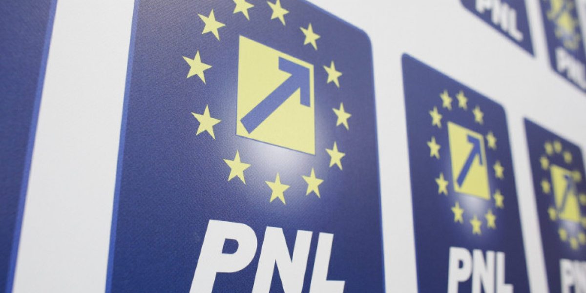 PNL în Congres Extraordinar: Șefia și Statutul, pe Ordinea de Zi