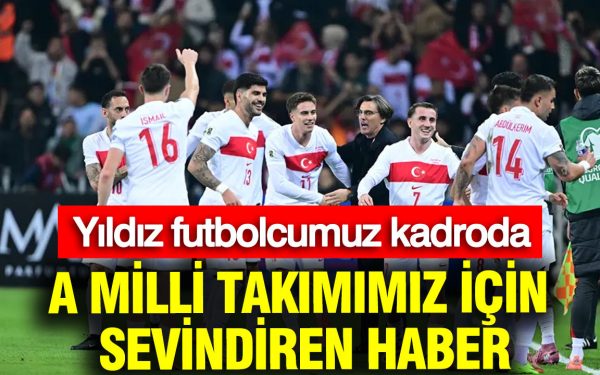 Vești bune pentru Naționala de fotbal: vedeta, în lot