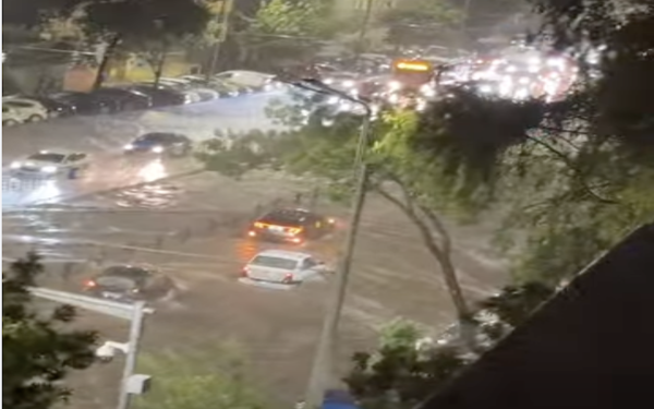 București și Ilfov sub cod roșu: vijelie și vânturi puternice