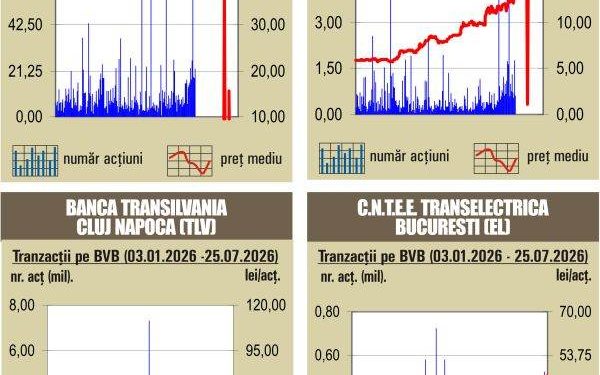 BVB: Roșu curat pe bursă, indicii coboară drastic