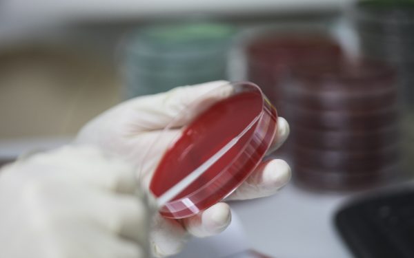 Spiridon, Iași: Operații anulate pe bandă rulantă din lipsă de sânge
