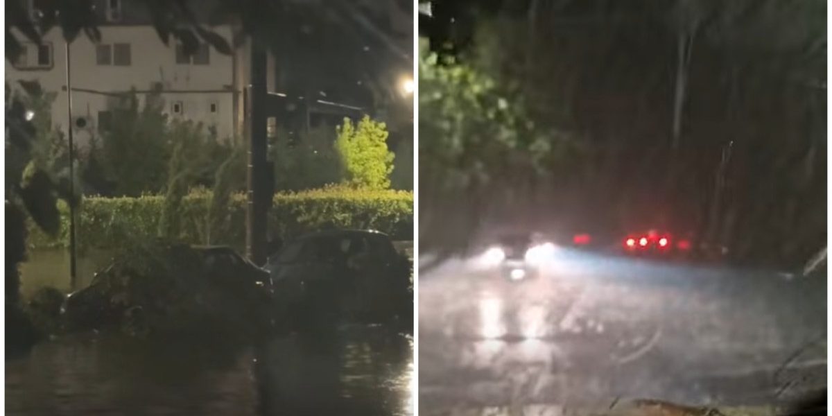 Craiova sub ape: furtună devastatoare, zeci de copaci peste mașini