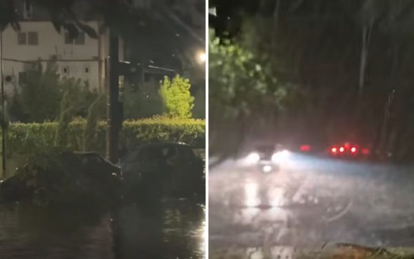 Craiova sub ape: furtună devastatoare, zeci de copaci peste mașini