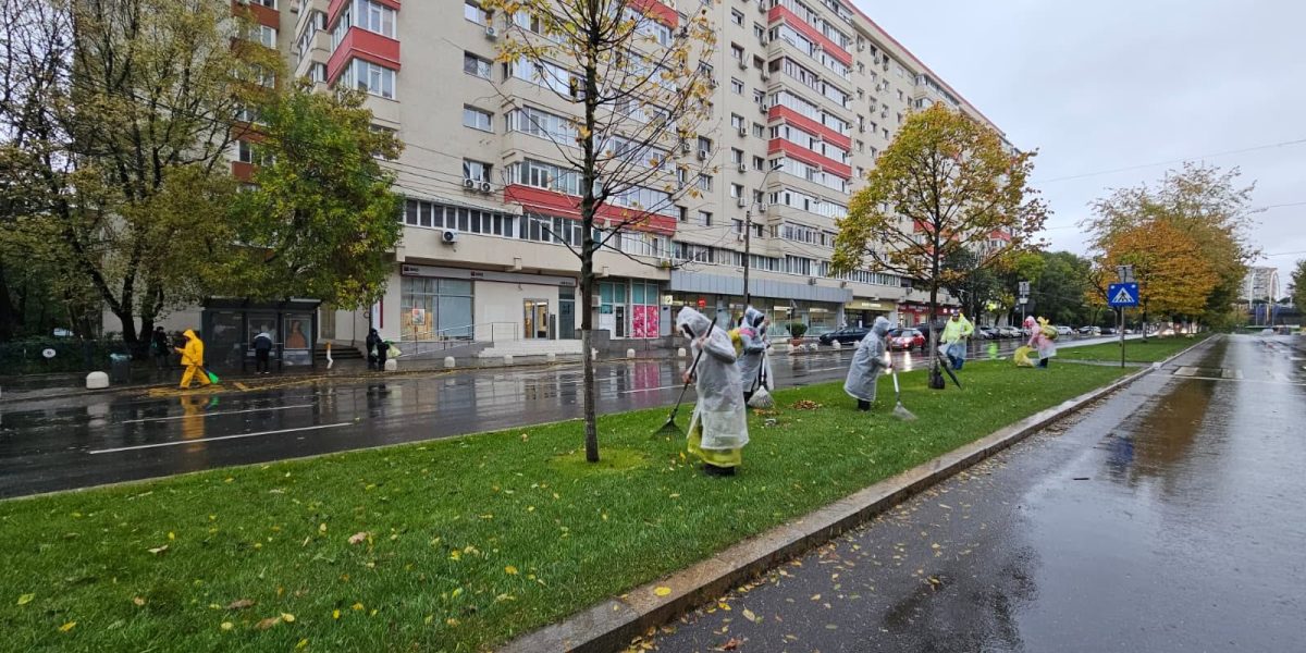 București: 1 miliard € din banii voștri tăiat iarba și plantat copaci