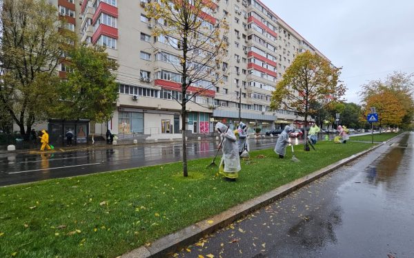 București: 1 miliard € din banii voștri tăiat iarba și plantat copaci