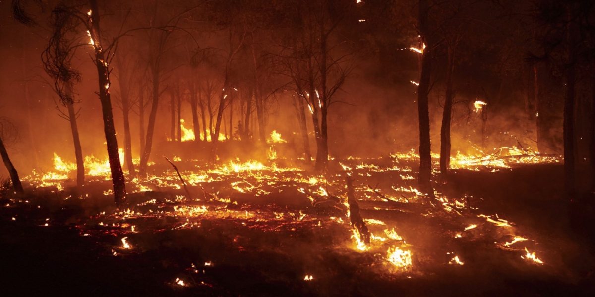Tragedie în Spania: 12 morți, majoritatea străini, șocați de incendii